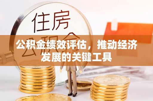 麟洛公积金绩效评估，推动经济发展的关键工具