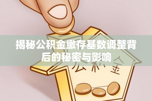 麟洛揭秘公积金缴存基数调整背后的秘密与影响