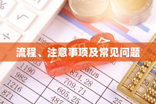 麟洛流程、注意事项及常见问题