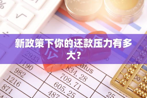 麟洛新政策下你的还款压力有多大？