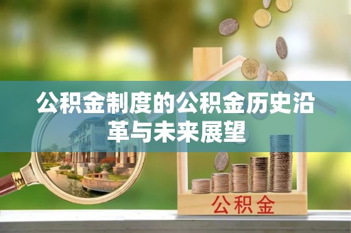 麟洛公积金制度的公积金历史沿革与未来展望