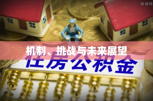 麟洛机制、挑战与未来展望