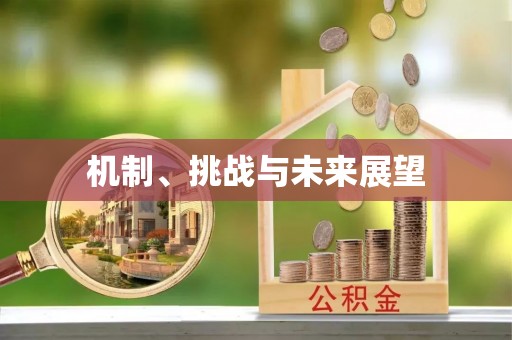 麟洛机制、挑战与未来展望